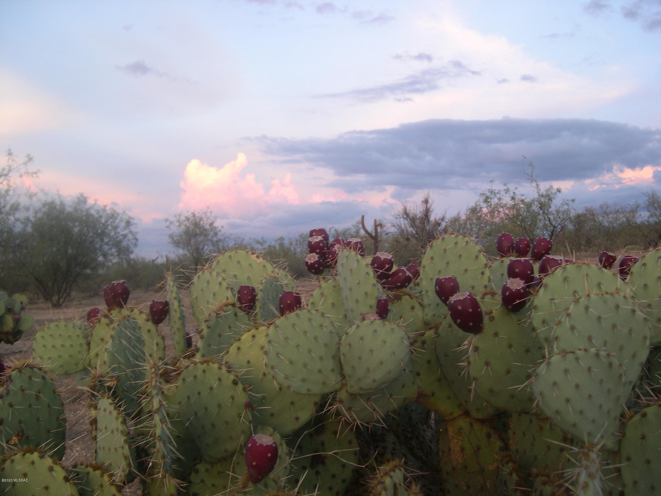 23400 West Ressie Road, Unit 98 Tucson, AZ 85735 - Photo 15 of 36