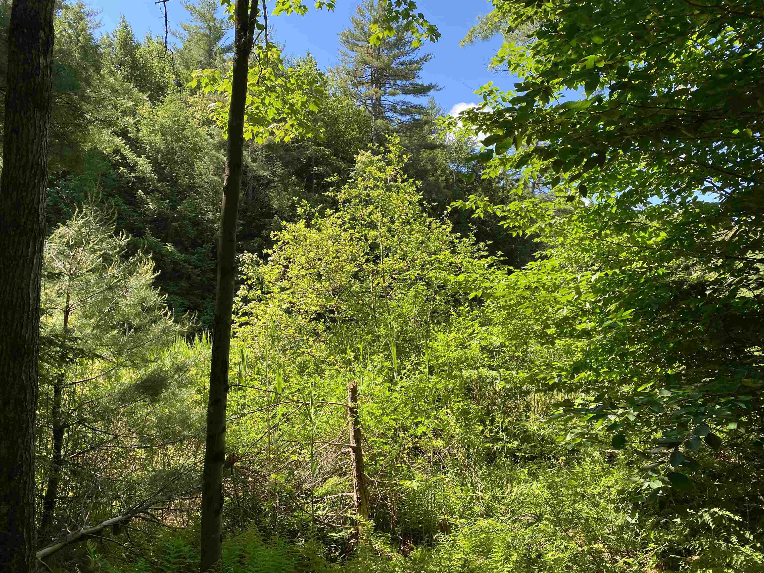18 Catamount Road Pittsfield, NH 03263 - Photo 15 of 31