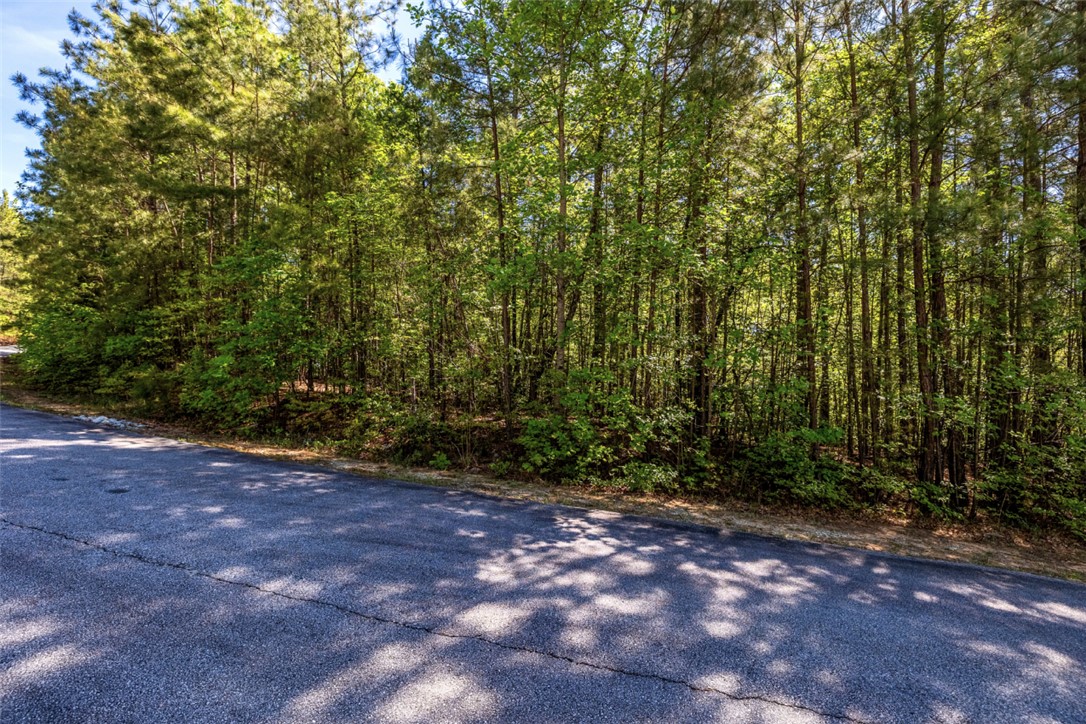 Lot E-31 Pine Ridge Way Salem, SC 29676 - Photo 4 of 16 Mature trees line this tranquil lot, offering privacy and natural beauty.