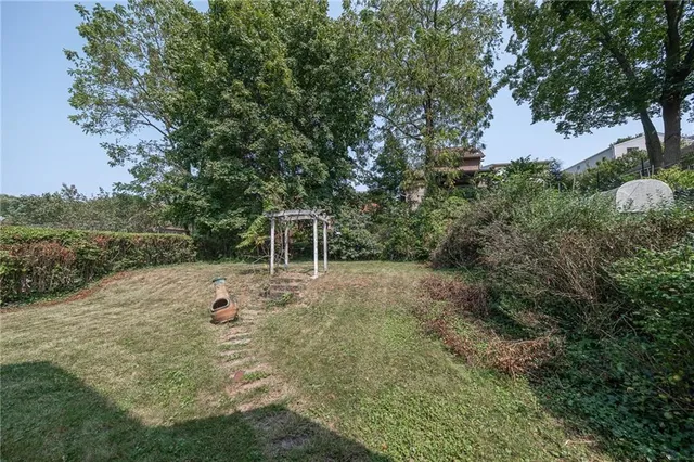 a view of a trees with a backyard