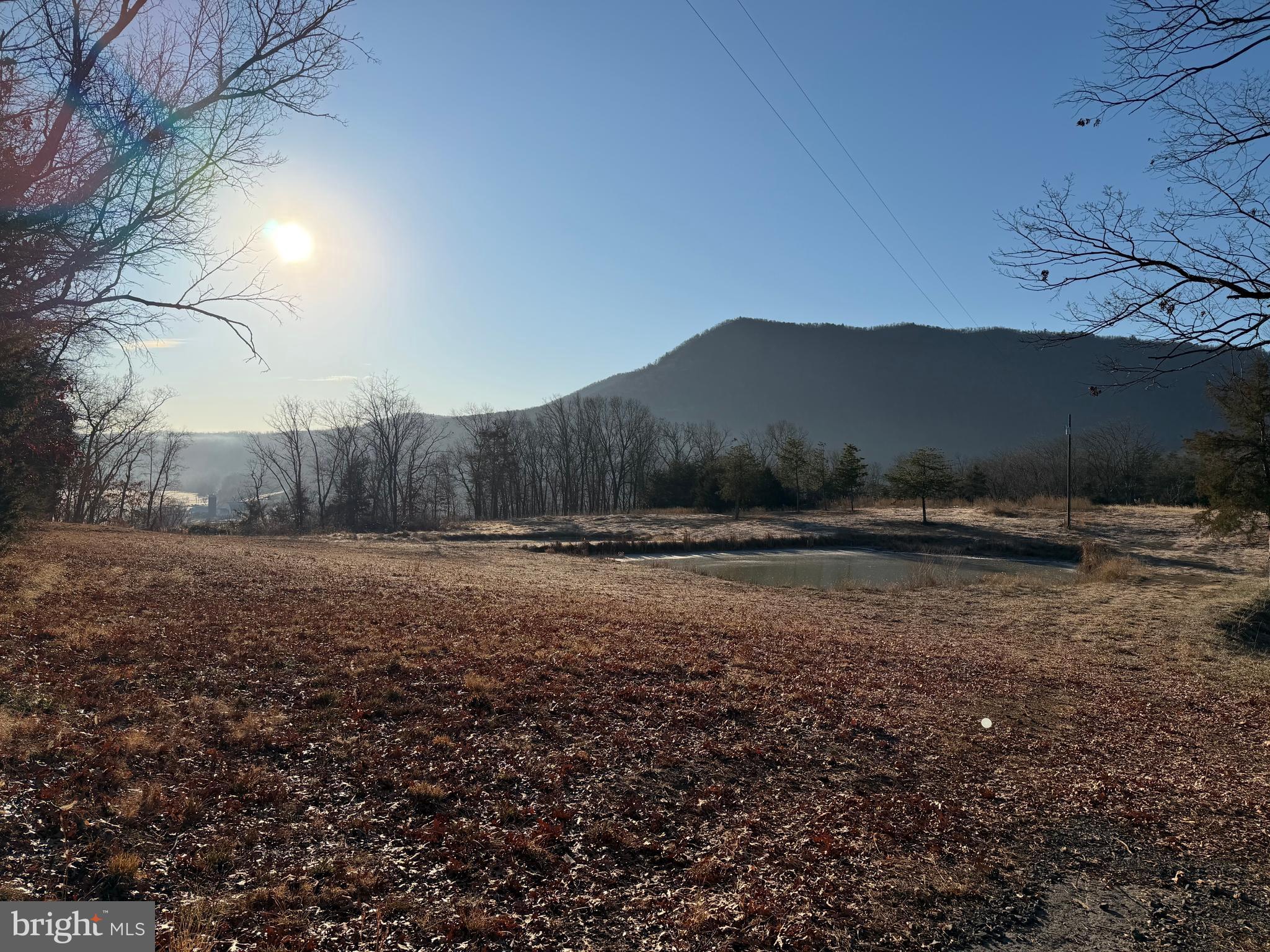 442 Pouts Hill Road Strasburg, VA 22657 - Photo 1 of 13