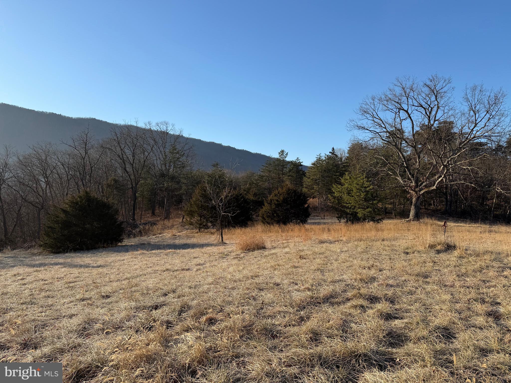 442 Pouts Hill Road Strasburg, VA 22657 - Photo 11 of 13