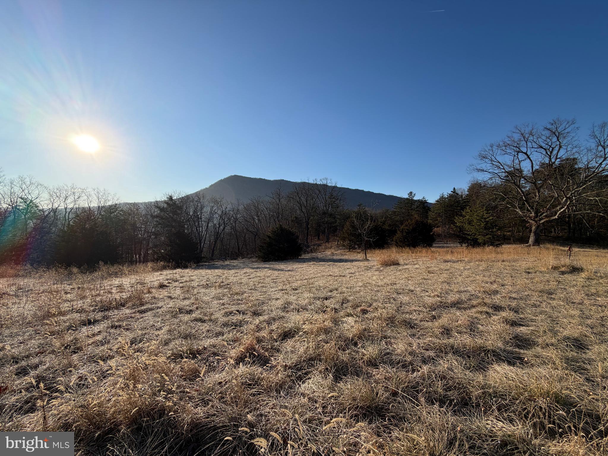 442 Pouts Hill Road Strasburg, VA 22657 - Photo 12 of 13