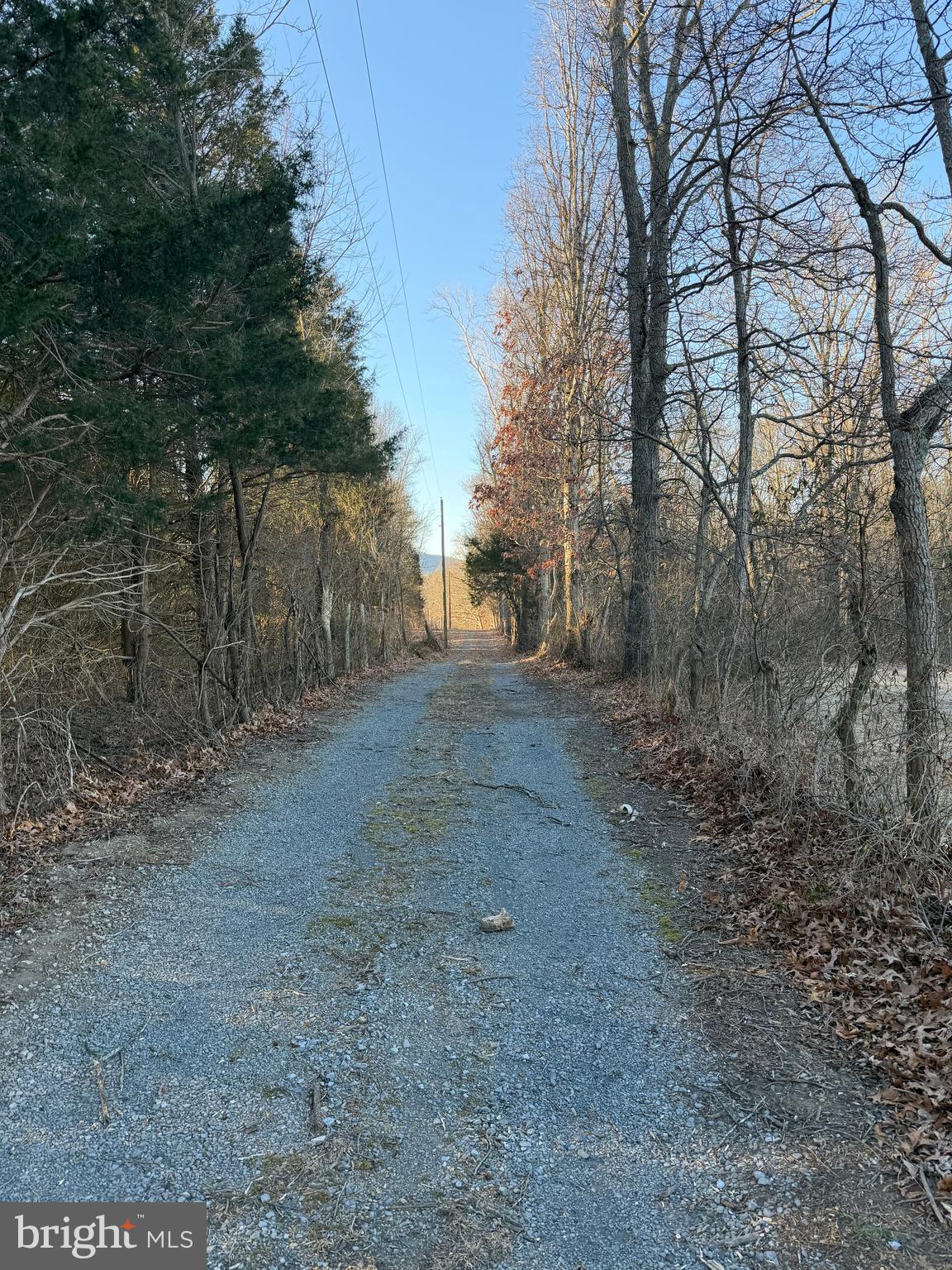 442 Pouts Hill Road Strasburg, VA 22657 - Photo 2 of 13