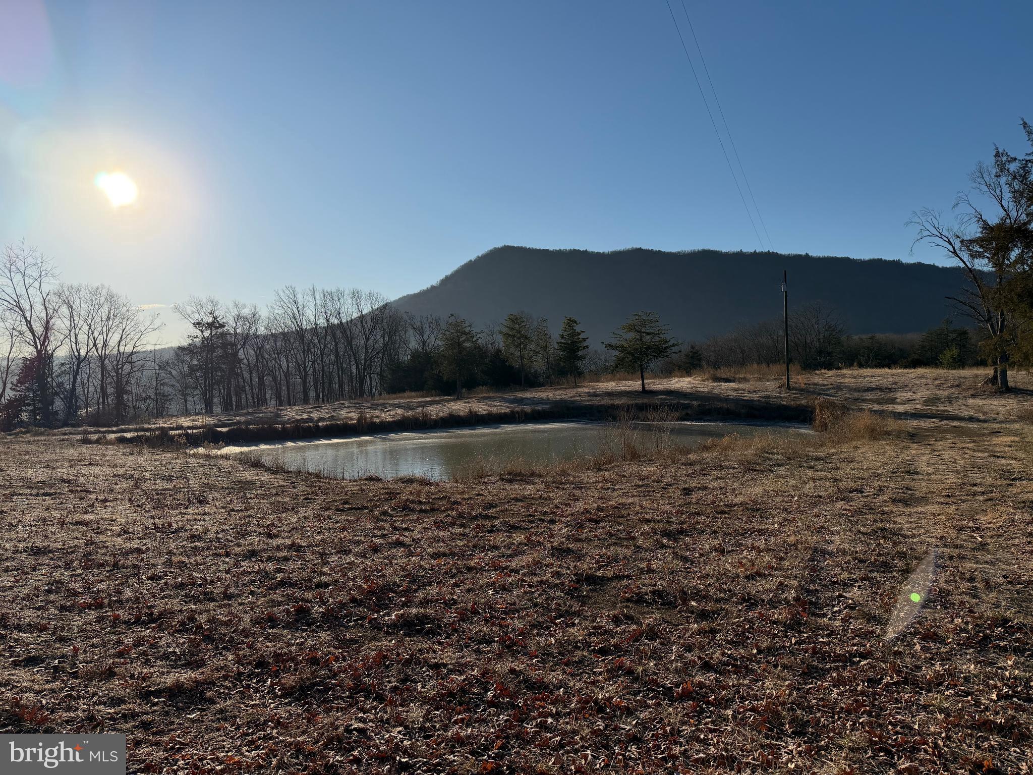 442 Pouts Hill Road Strasburg, VA 22657 - Photo 7 of 13