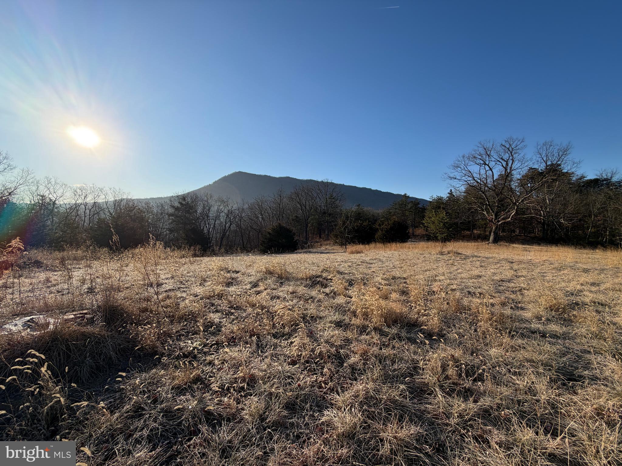 442 Pouts Hill Road Strasburg, VA 22657 - Photo 9 of 13