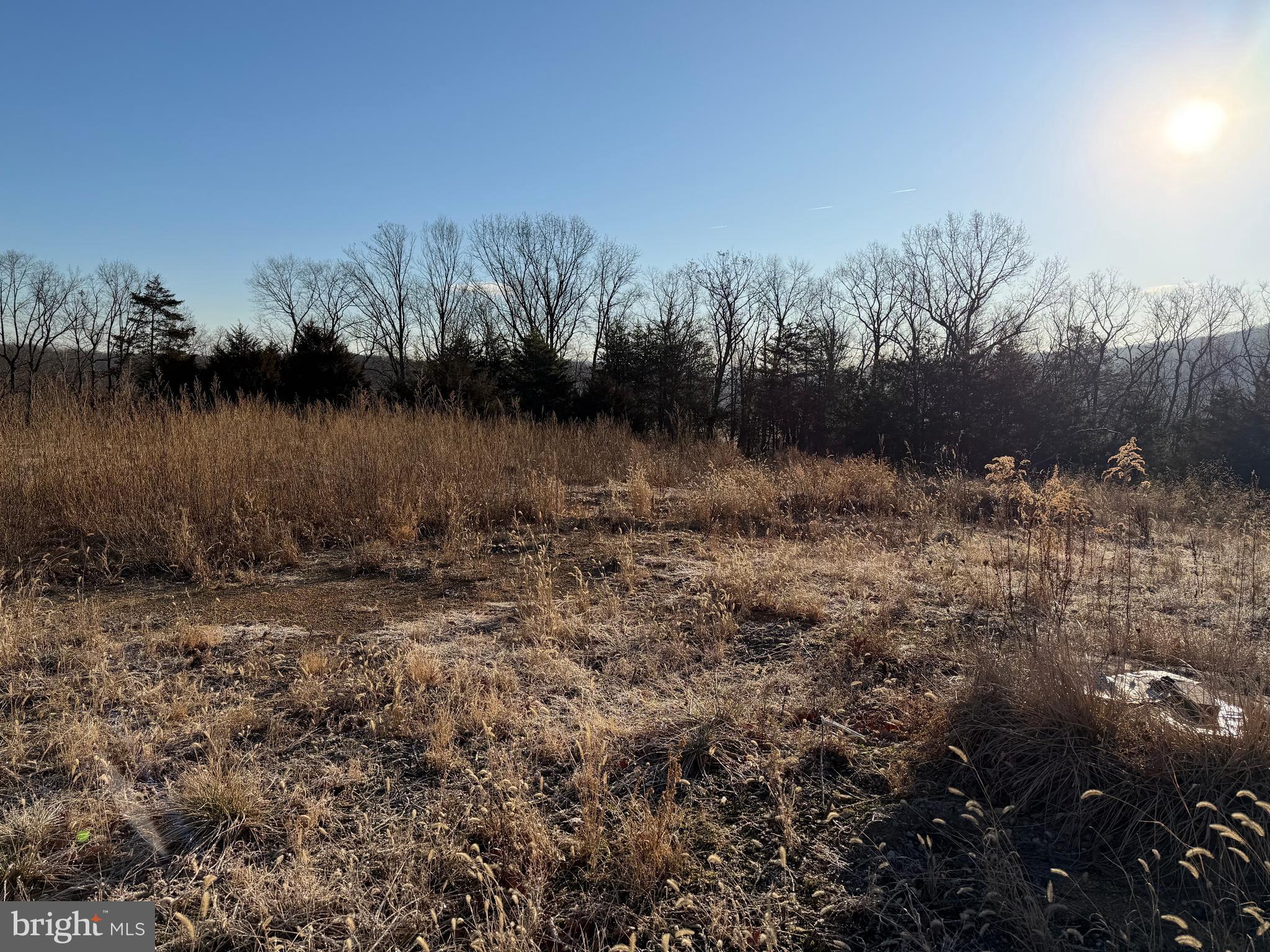 442 Pouts Hill Road Strasburg, VA 22657 - Photo 10 of 13