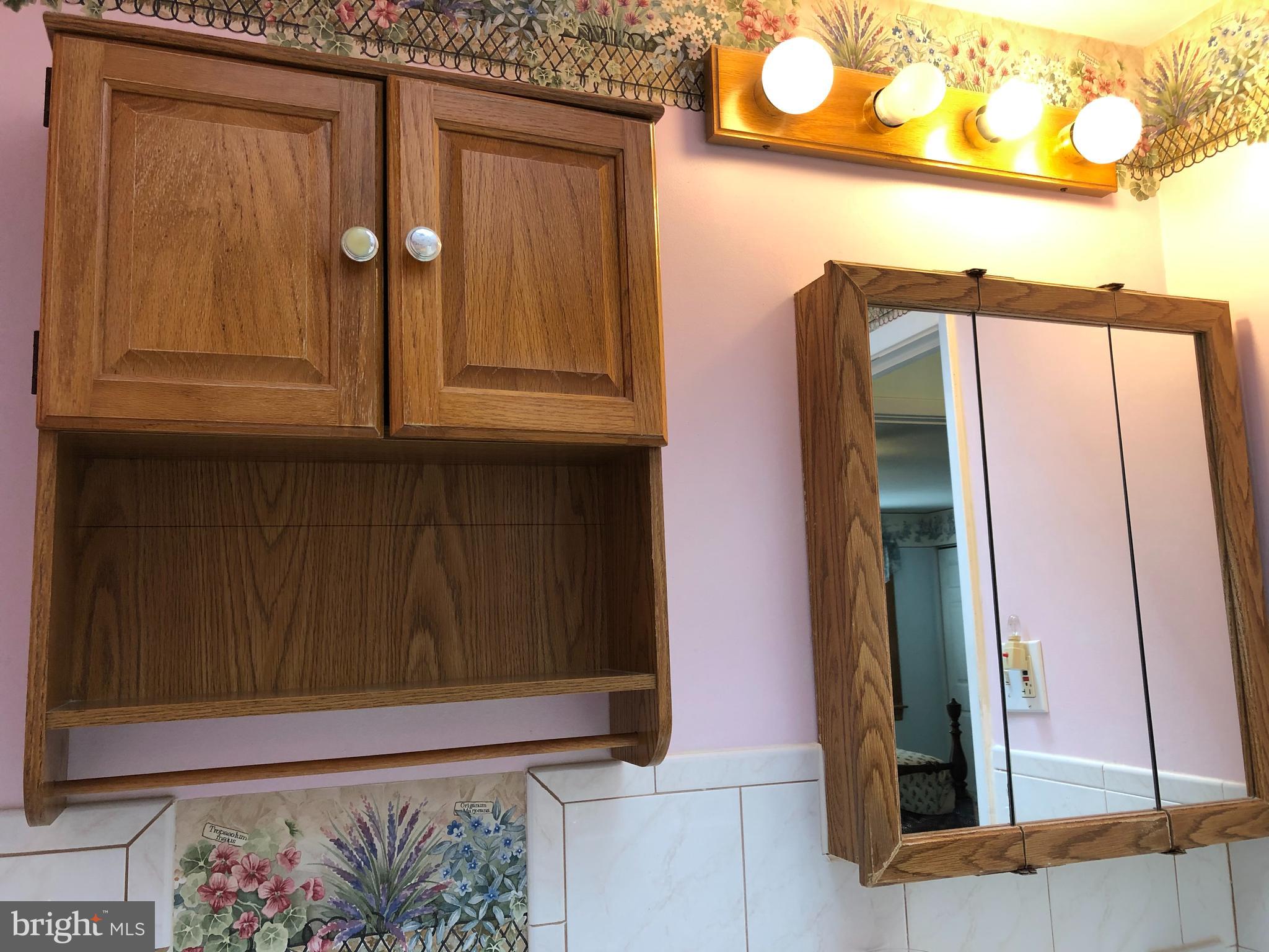 12714 Minden Road Philadelphia, PA 19154 - Photo 31 of 53 Hall Bath Cabinet & Bright Fixture