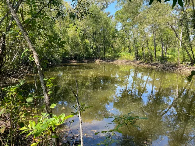 a view of a park with large trees
