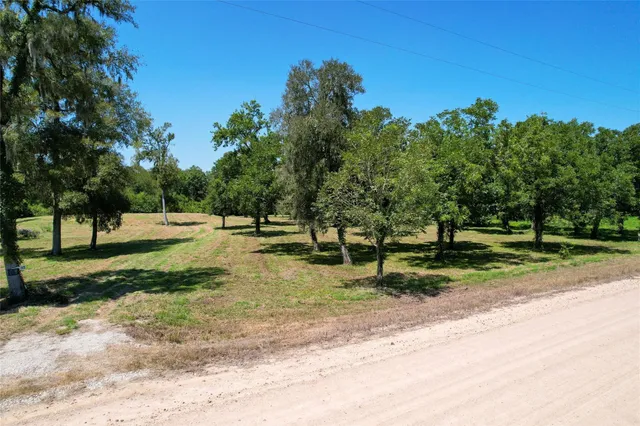 $100,000 | 15338 Tierra Grande Drive, Needville, TX 77461