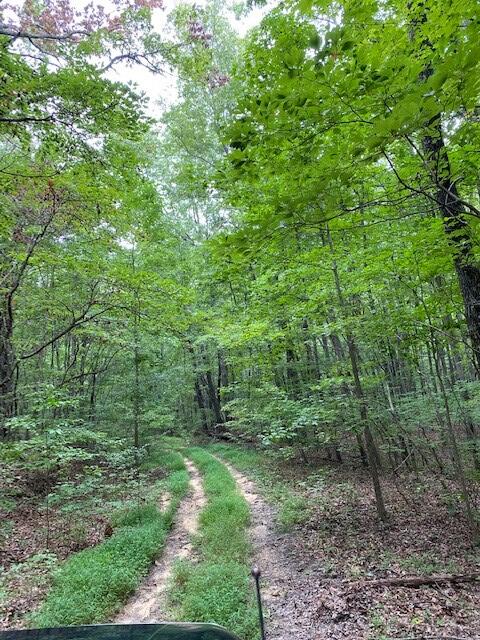 5.7 Mud Road Graysville, TN 37338 - Photo 3 of 5 Mud Road 3