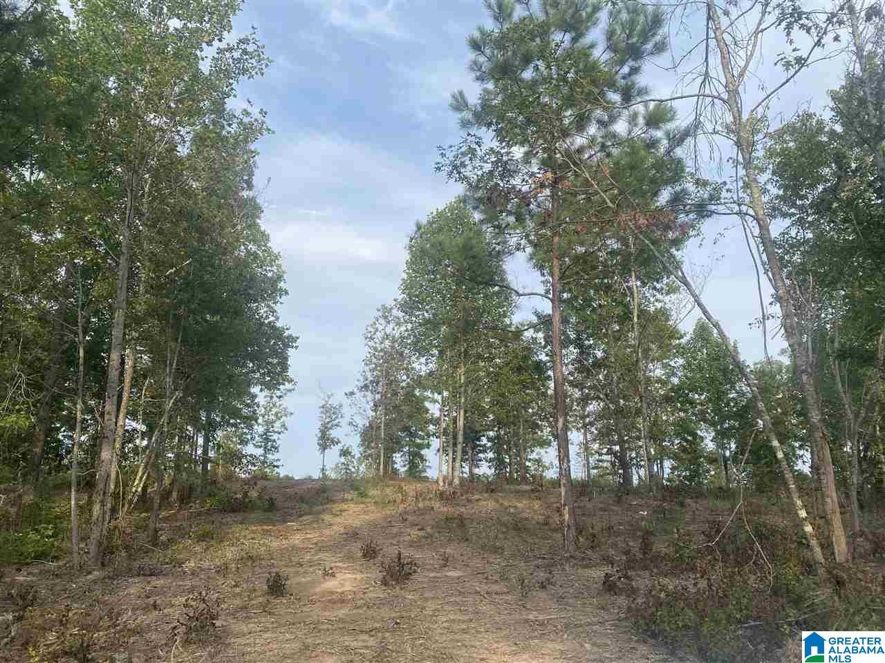 0 County Road 29, Unit 85 AC Wedowee, AL 36278 - Photo 2 of 6