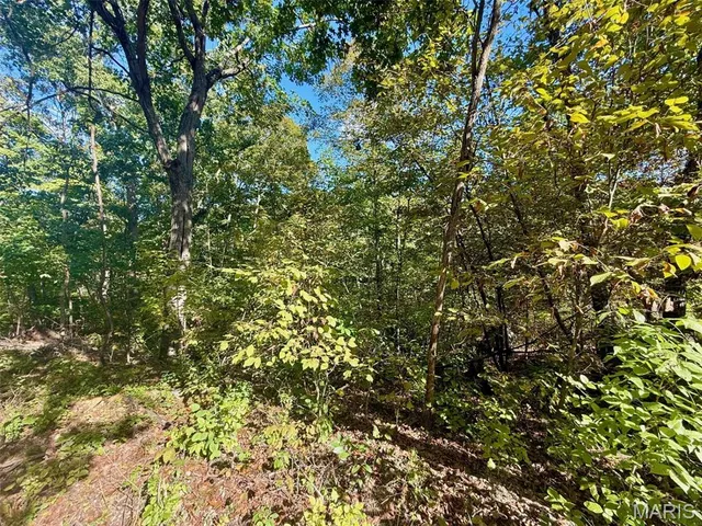 $15,000 | 1850 Prince John Court, Lake Sherwood, MO 63357