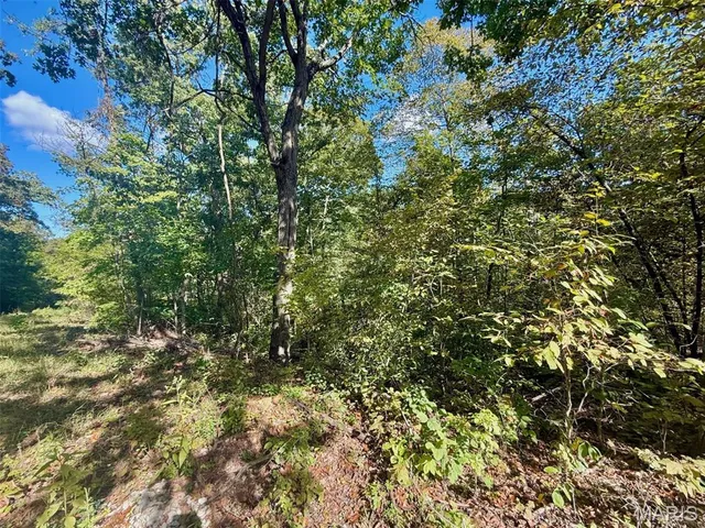 $15,000 | 1850 Prince John Court, Lake Sherwood, MO 63357