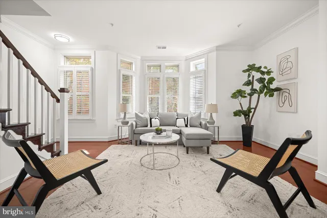 a living room with furniture and a potted plant
