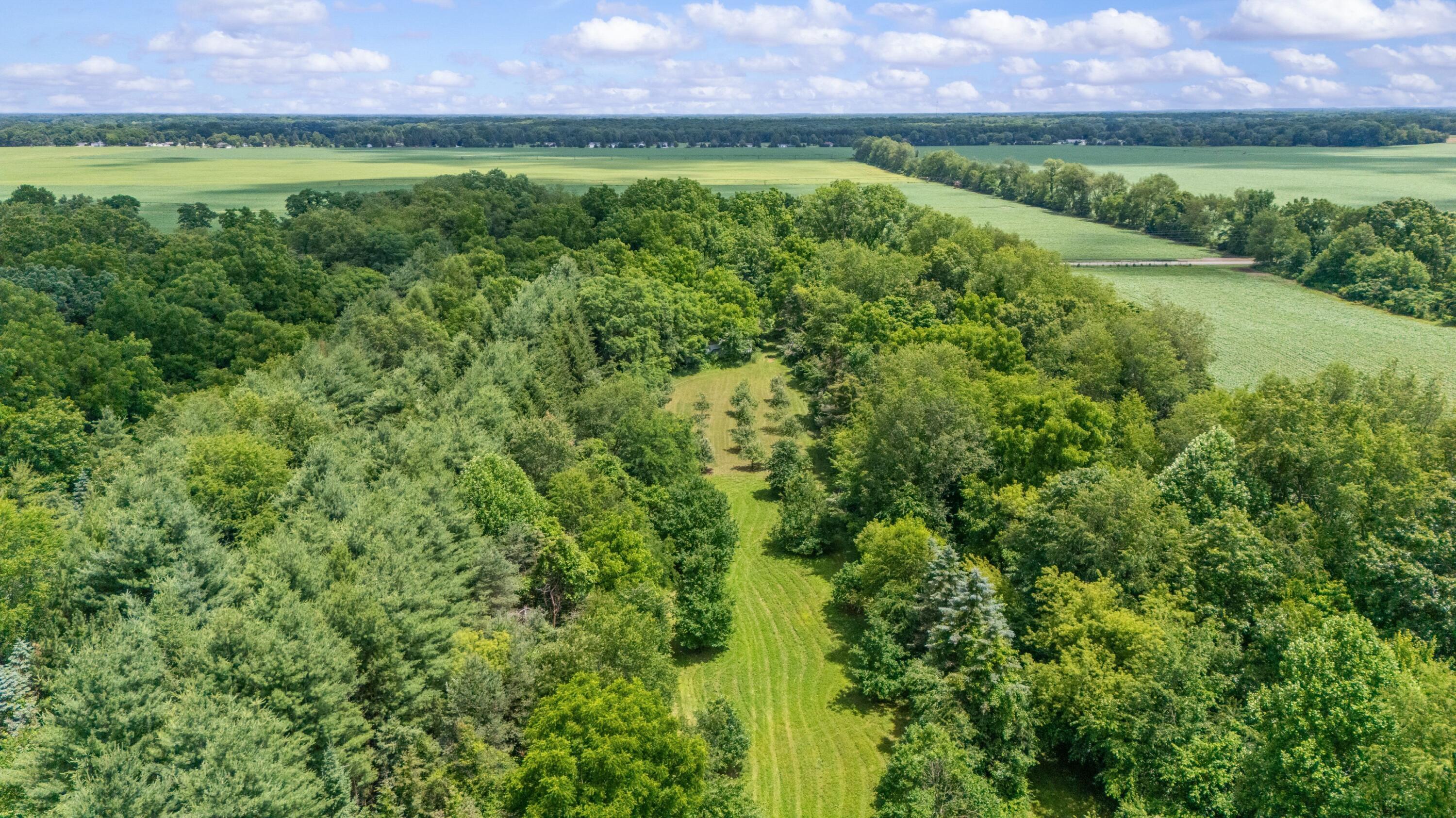 52402 Oak Plains Road Marcellus, MI 49067 - Photo 6 of 59 22DJI_20260626020531_0040_D