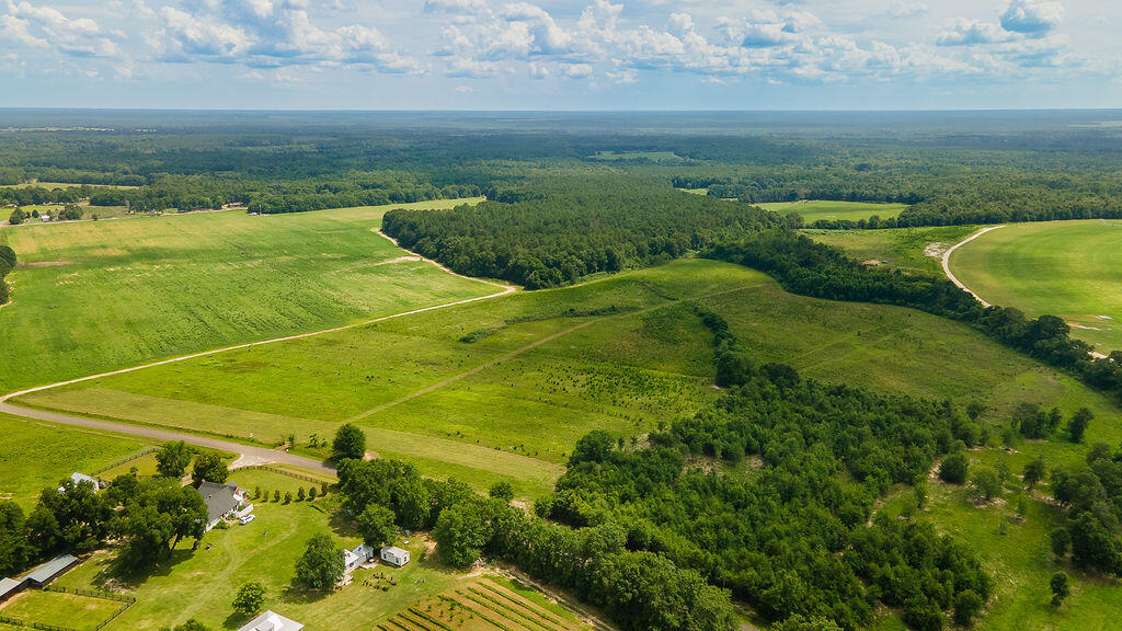 Lot 4 Union Academy Road Salley, SC 29137 - Photo 1 of 14 a view of a city