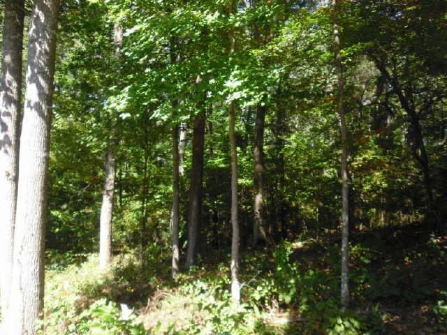 0 Cochran Way Rydal, GA 30171 - Photo 1 of 1