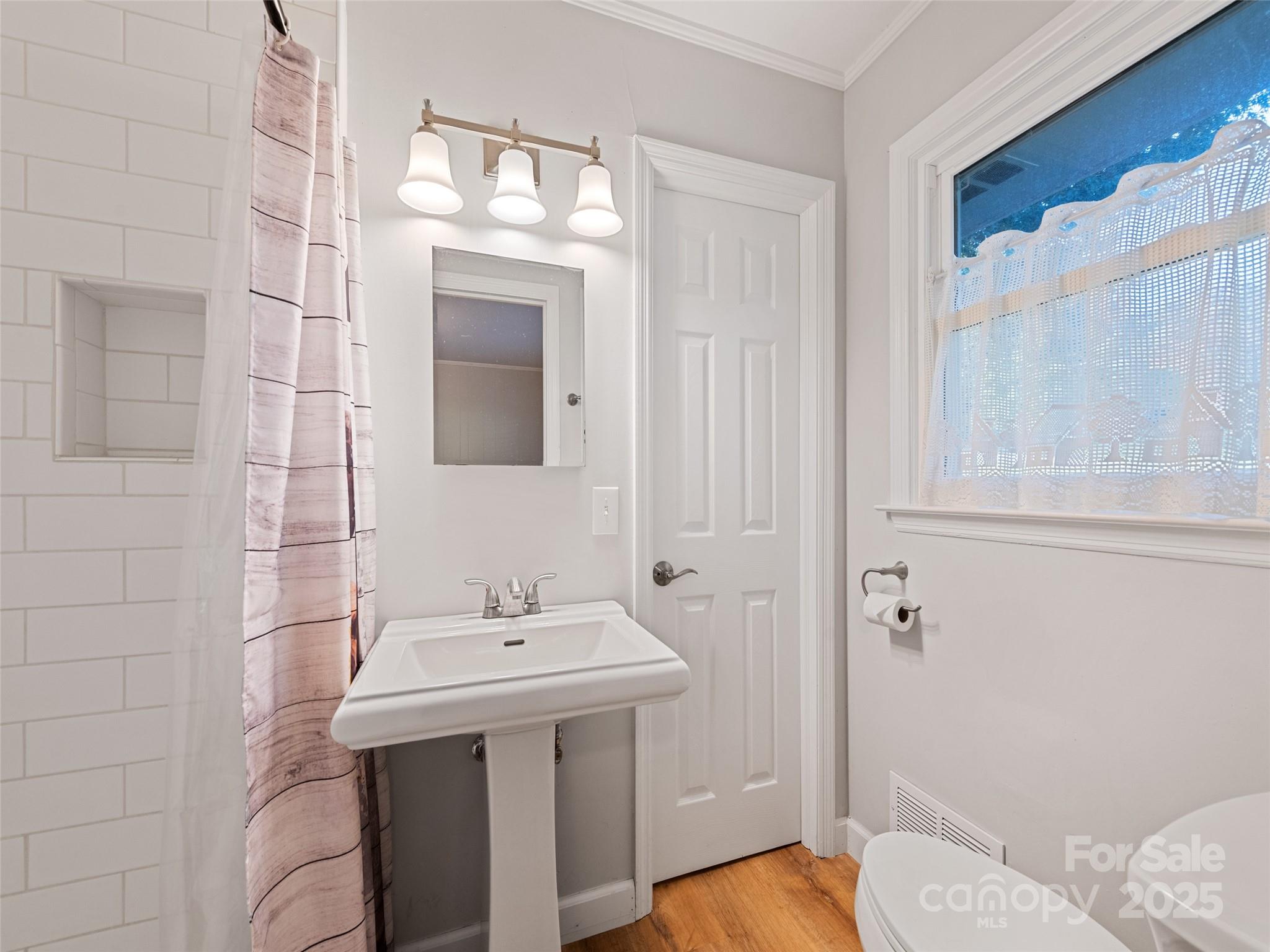 263 Blanton Street Columbus, NC 28722 - Photo 27 of 45 a bathroom with a sink a toilet and shower
