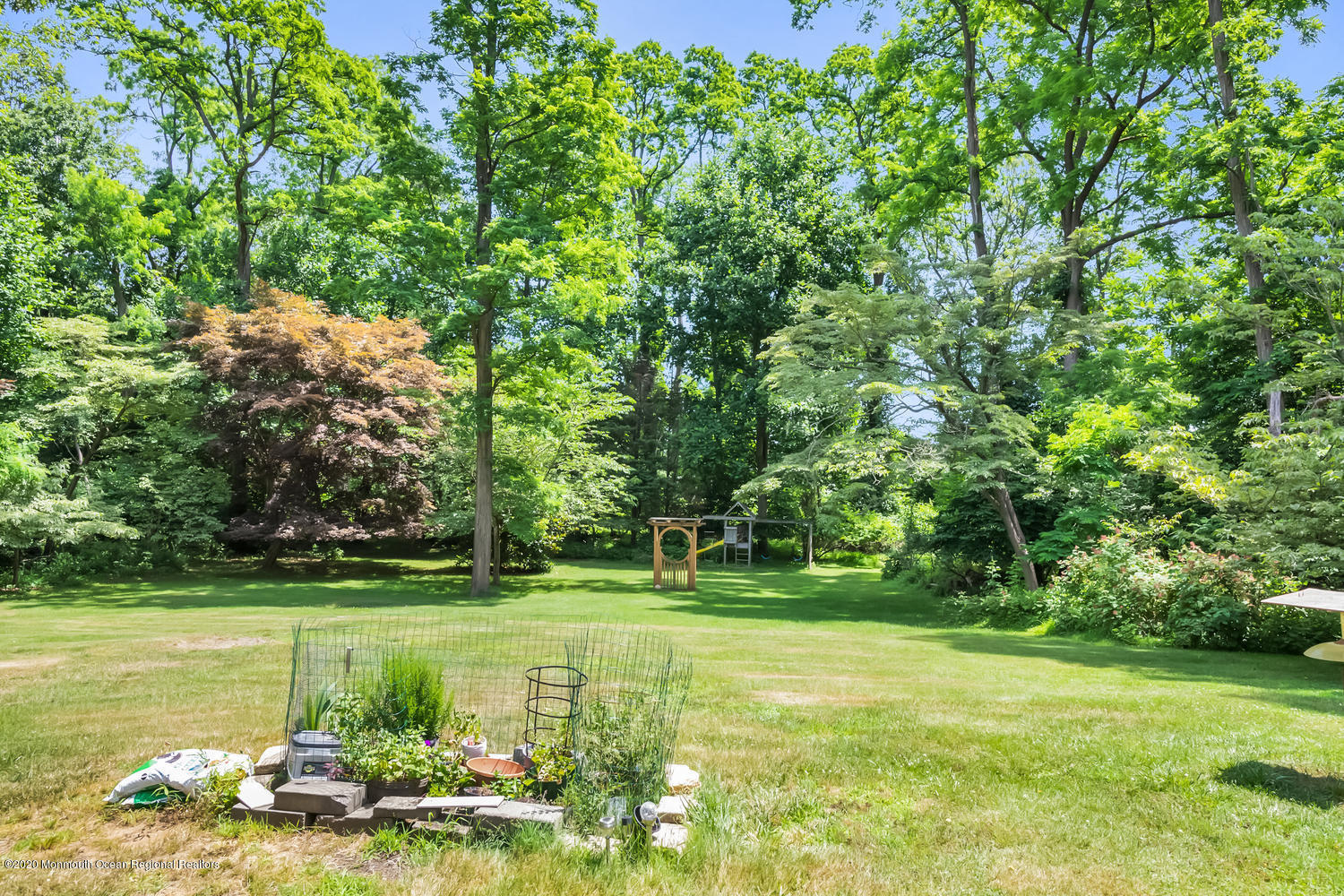 87 Bruce Road Red Bank, NJ 07701 - Photo 18 of 19 a view of a park with large trees