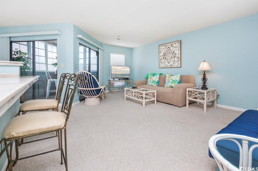 1101 Possum Trot Road, Unit 102D North Myrtle Beach, SC 29582 - Photo 29 of 37 Gallery Image 29