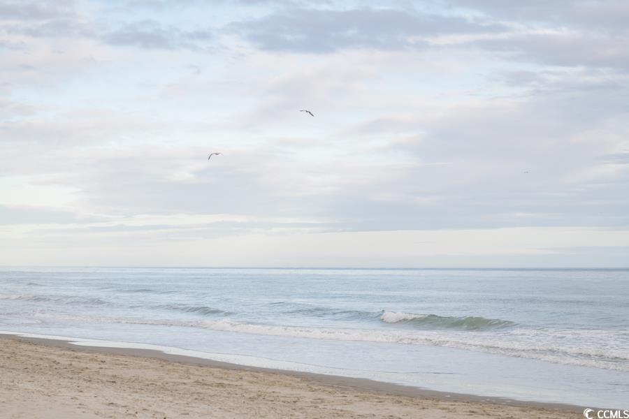 1101 Possum Trot Road, Unit 102D North Myrtle Beach, SC 29582 - Photo 37 of 37 Gallery Image 37