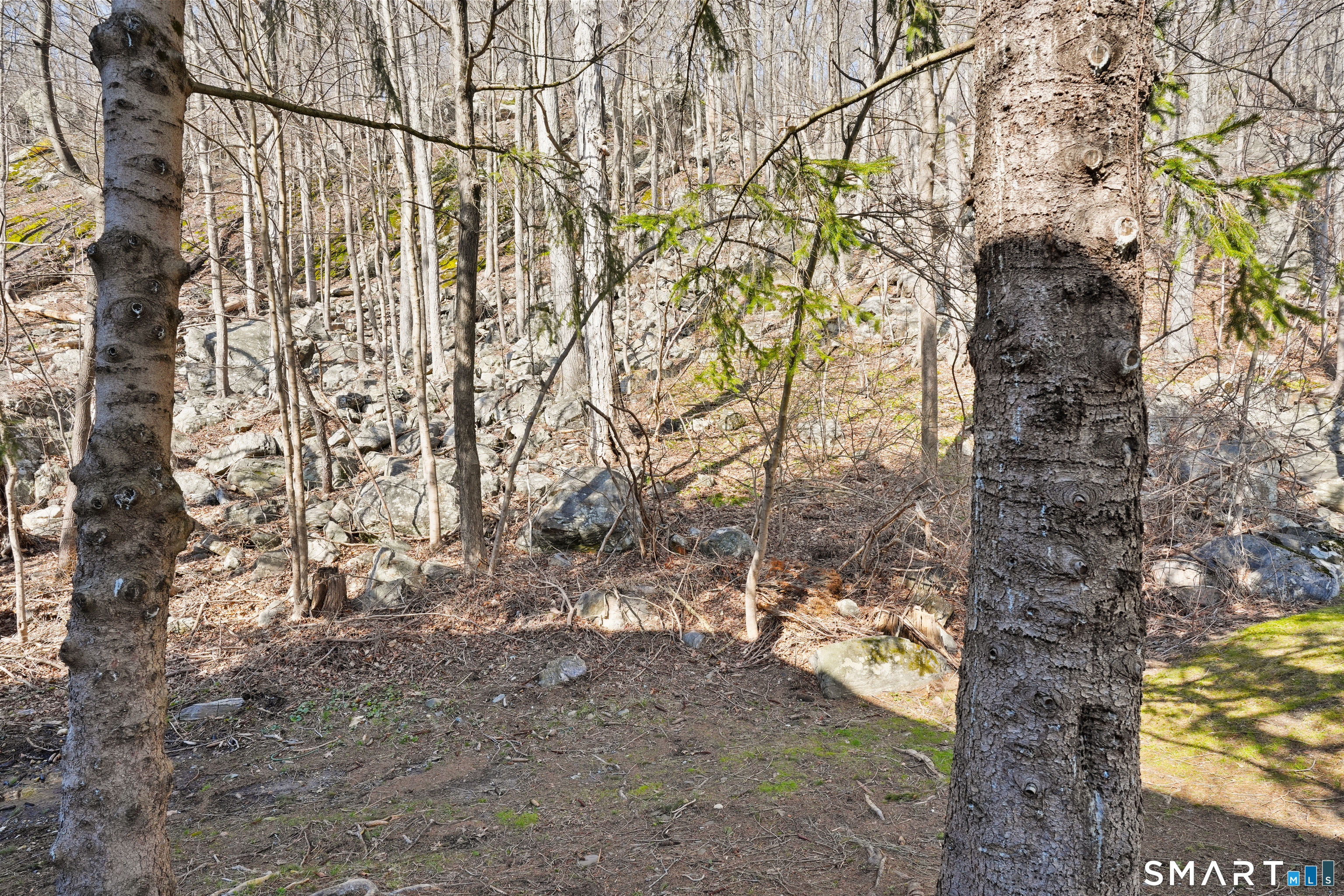 629 Danbury Road, Unit 43 Ridgefield, CT 06877 - Photo 26 of 28