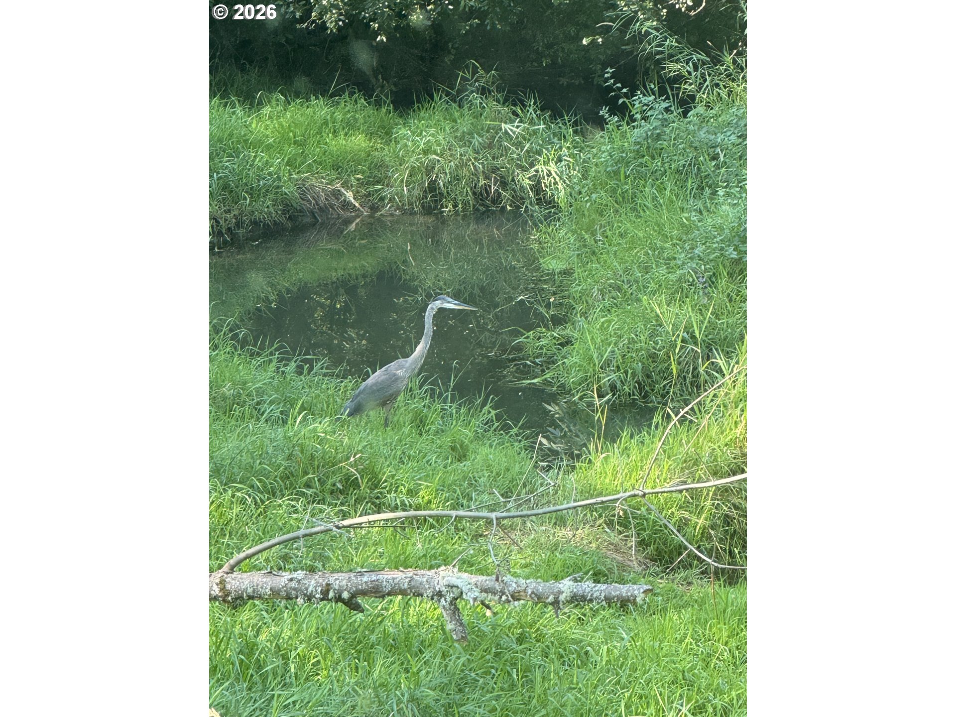 15005 Southwest 150th Court Beaverton, OR 97007 - Photo 27 of 27