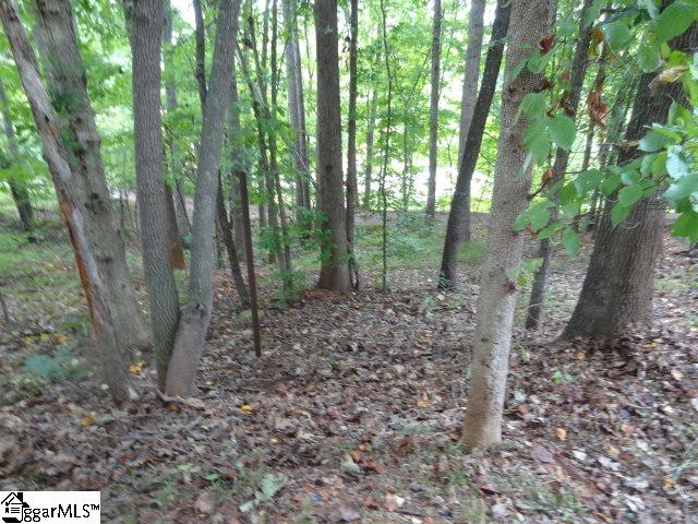 75 West Ridge Court Travelers Rest, SC 29690 - Photo 25 of 26