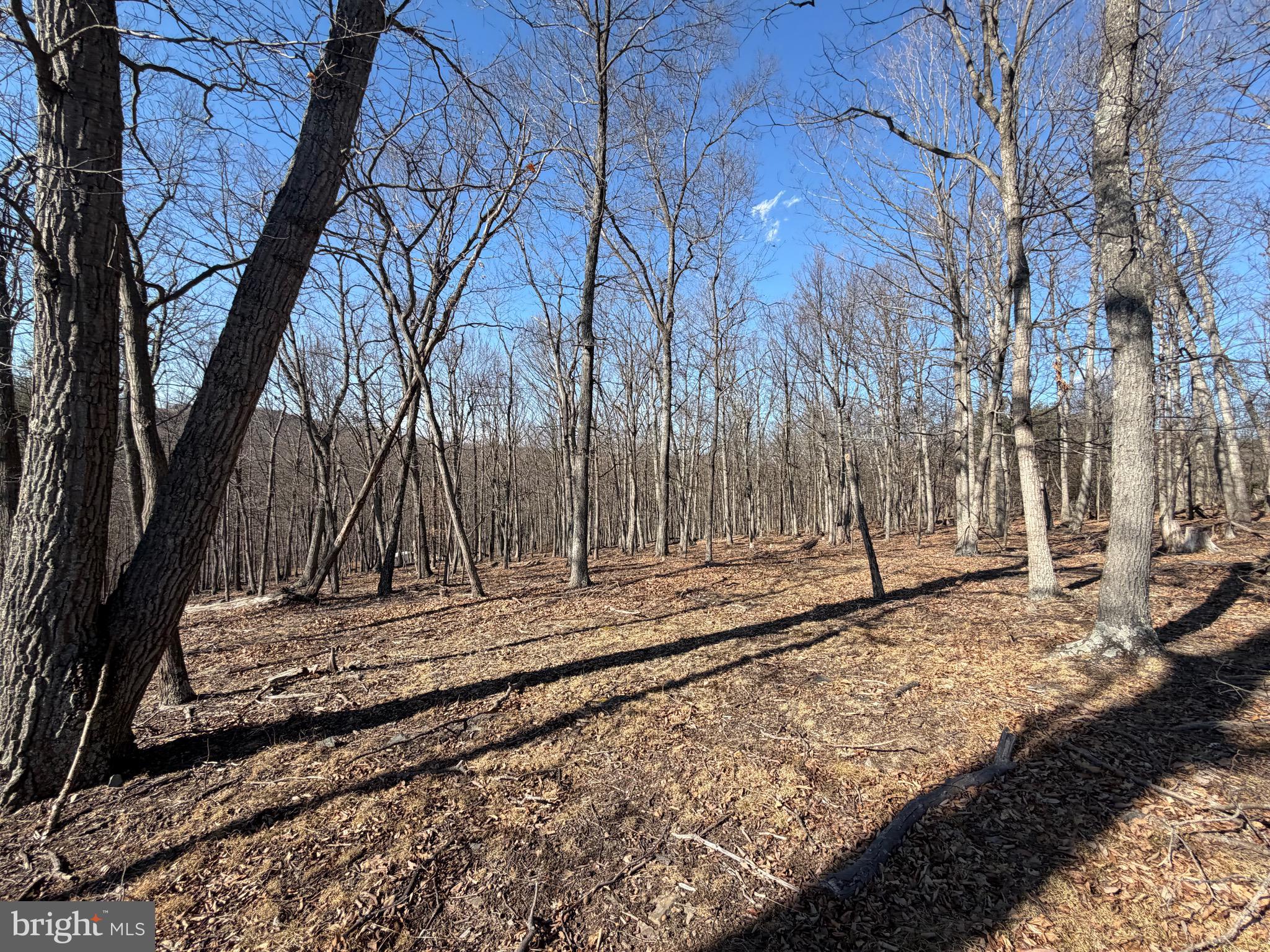 Goldsborough Road Springfield, WV 26763 - Photo 17 of 18