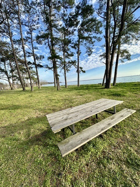 Tbd Gazelle Road Onalaska, TX 77360 - Photo 15 of 16