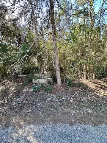 $19,900 | Tbd Gazelle Road, Onalaska, TX 77360