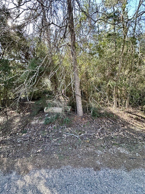 Tbd Gazelle Road Onalaska, TX 77360 - Photo 2 of 16