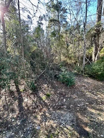 $19,900 | Tbd Gazelle Road, Onalaska, TX 77360