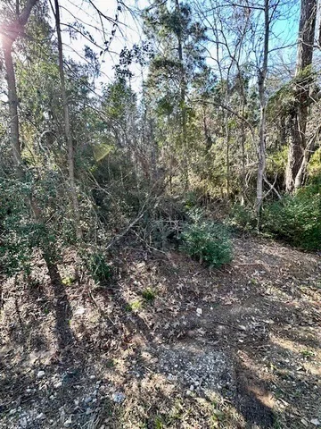 $19,900 | Tbd Gazelle Road, Onalaska, TX 77360