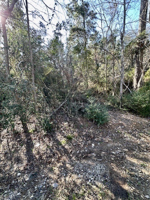 Tbd Gazelle Road Onalaska, TX 77360 - Photo 3 of 16