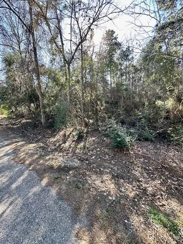 $19,900 | Tbd Gazelle Road, Onalaska, TX 77360