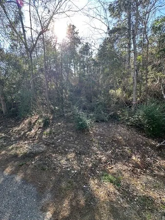 $19,900 | Tbd Gazelle Road, Onalaska, TX 77360