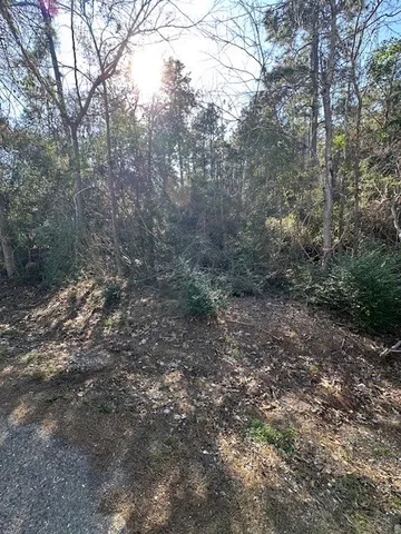 $19,900 | Tbd Gazelle Road, Onalaska, TX 77360