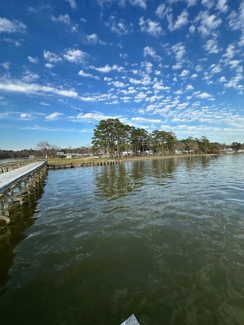 Tbd Gazelle Road Onalaska, TX 77360 - Photo 7 of 16