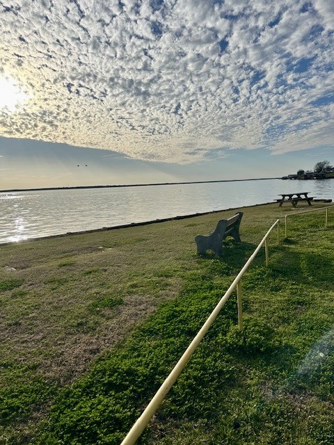Tbd Gazelle Road Onalaska, TX 77360 - Photo 10 of 16