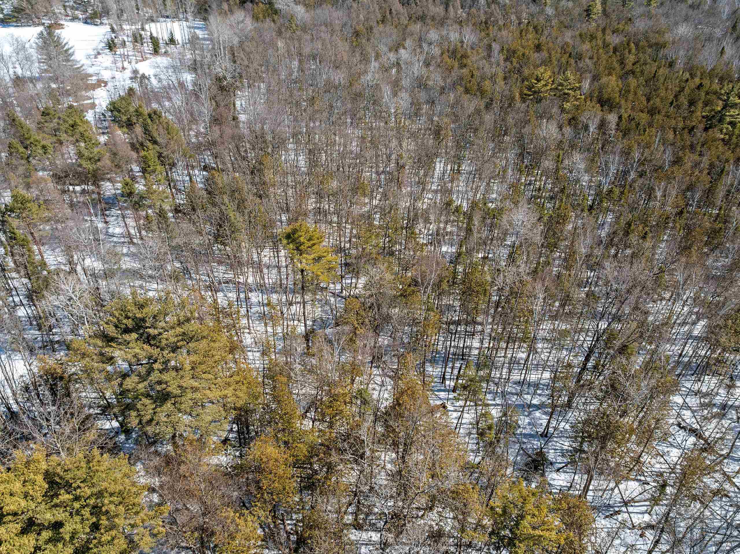 0 Menge Tigerton, WI 54486 - Photo 38 of 38