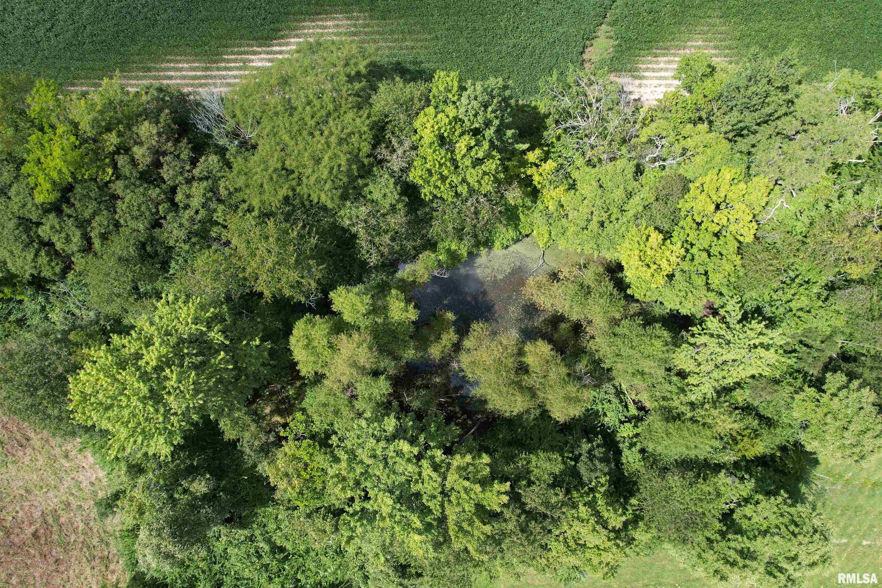 426 Trust Road Centralia, IL 62801 - Photo 7 of 75 Gallery Image 7