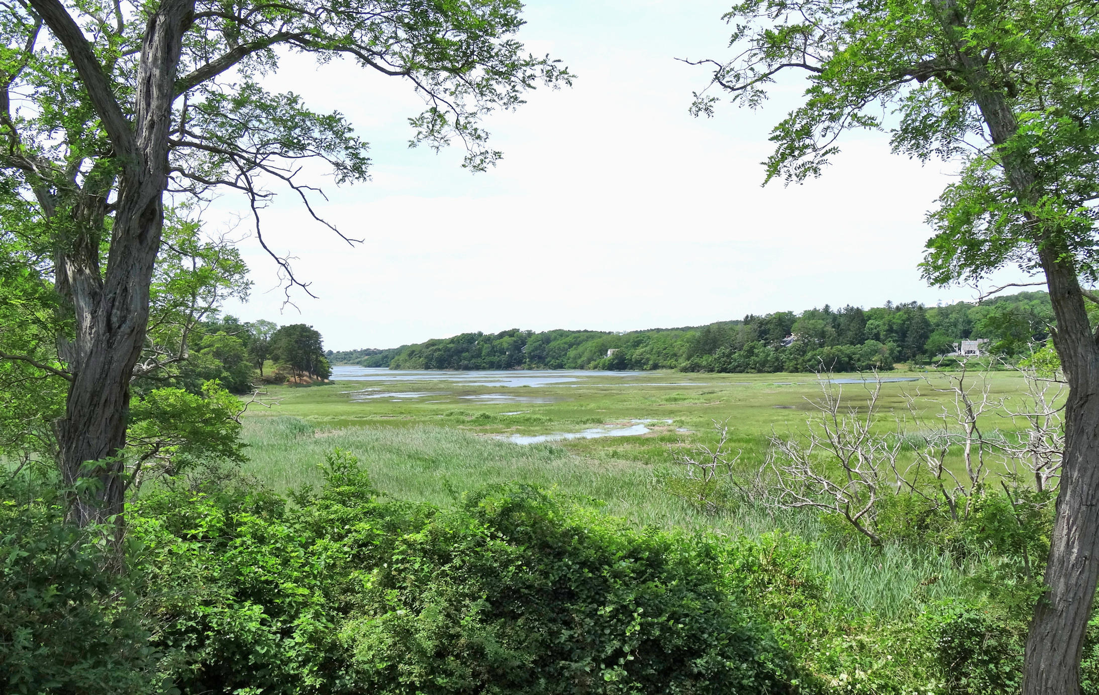 2 Noah's Way Truro, MA 02666 - Photo 2 of 21 a view of a lake with a yard