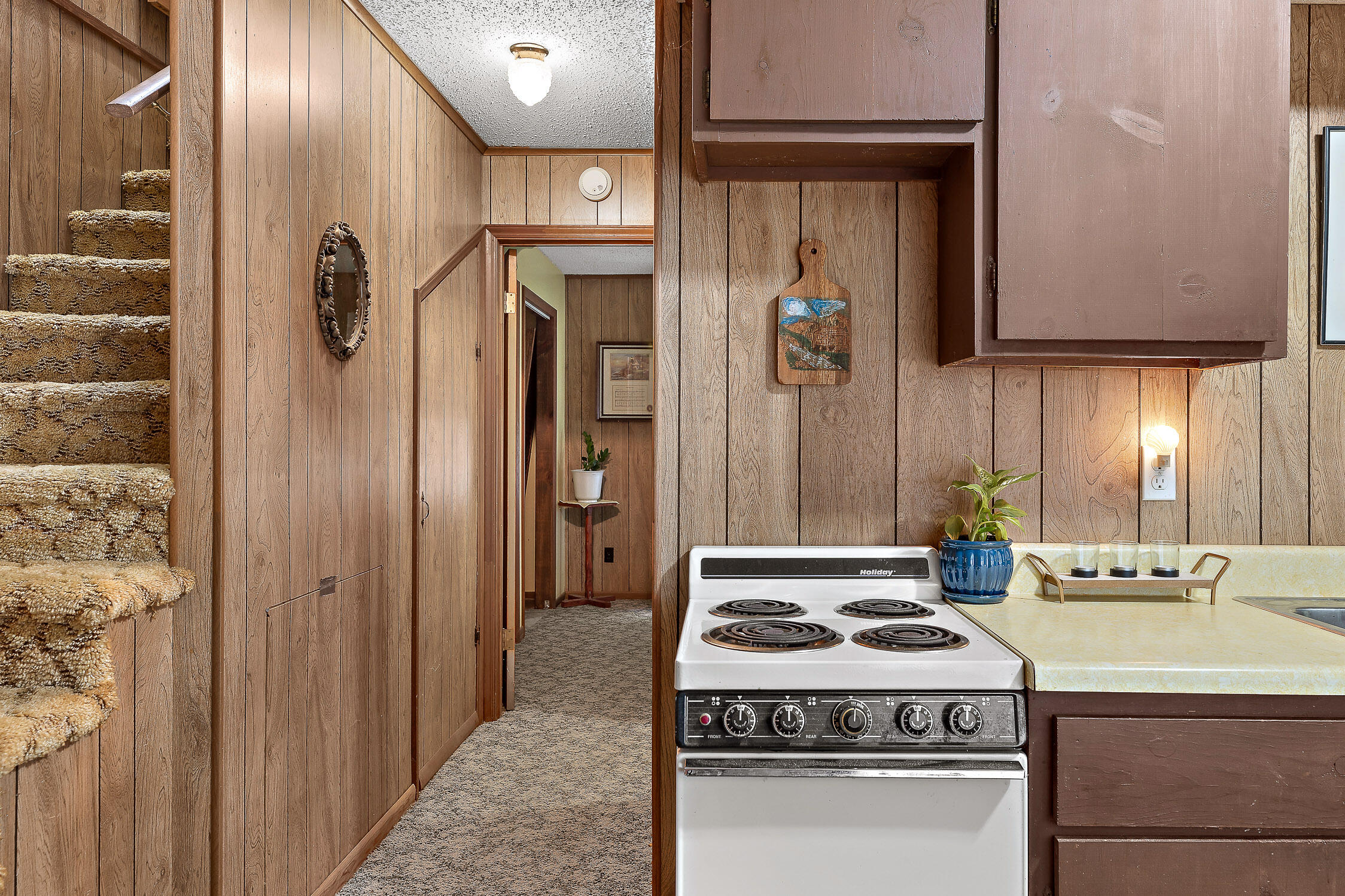 155 Piney View Drive Spring City, TN 37381 - Photo 17 of 33 Piney View-15