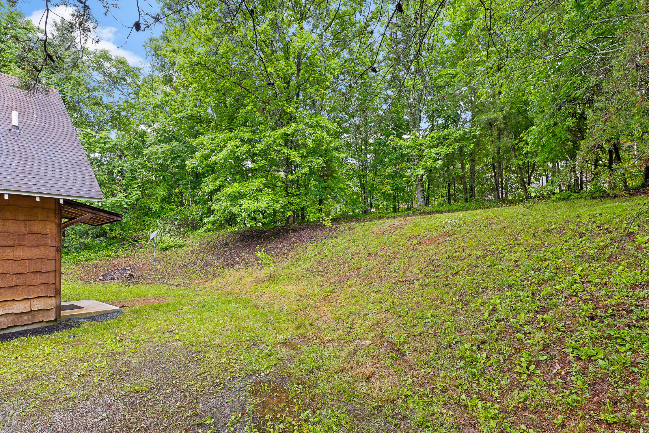 155 Piney View Drive Spring City, TN 37381 - Photo 30 of 33 Piney View-7