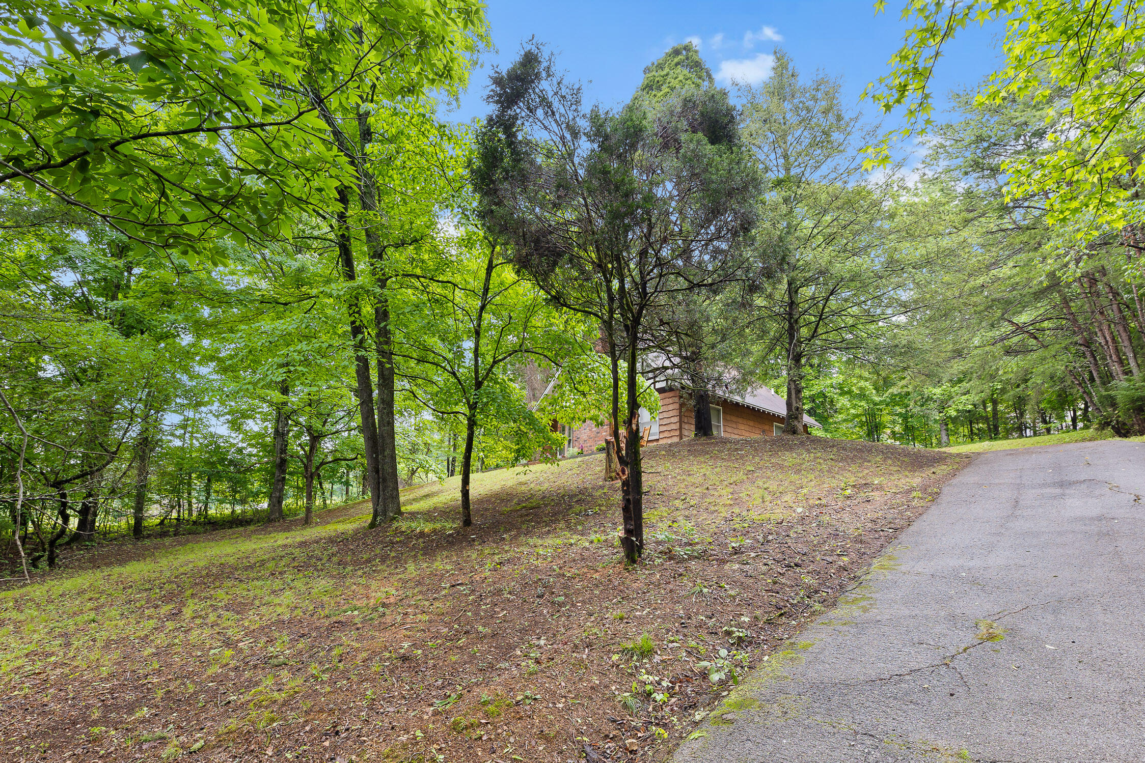 155 Piney View Drive Spring City, TN 37381 - Photo 4 of 33 Piney View-32