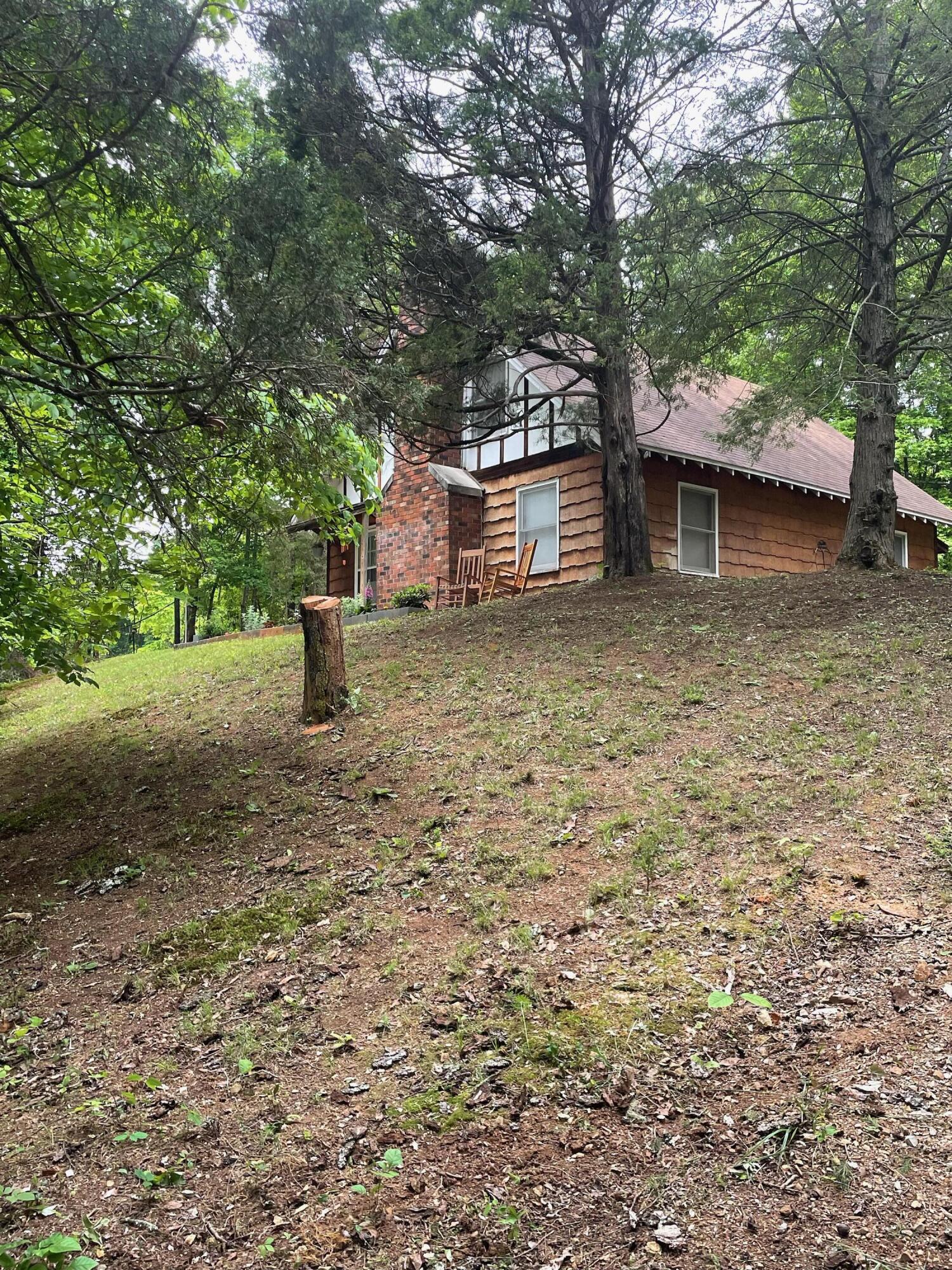 155 Piney View Drive Spring City, TN 37381 - Photo 5 of 33 IMG_4829