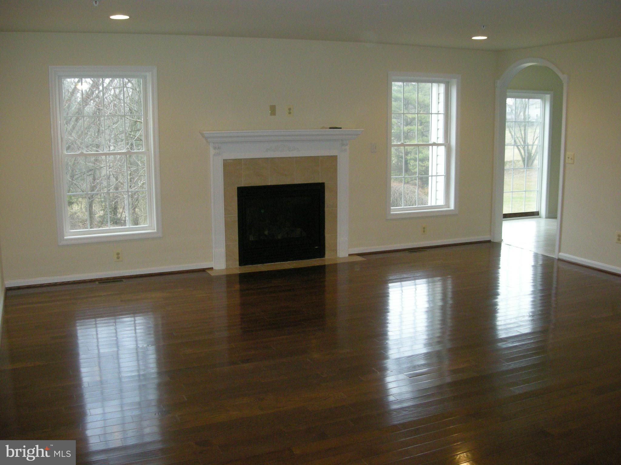13319 Fork Road Baldwin, MD 21013 - Photo 14 of 29 Great Room Features Gas Fireplace