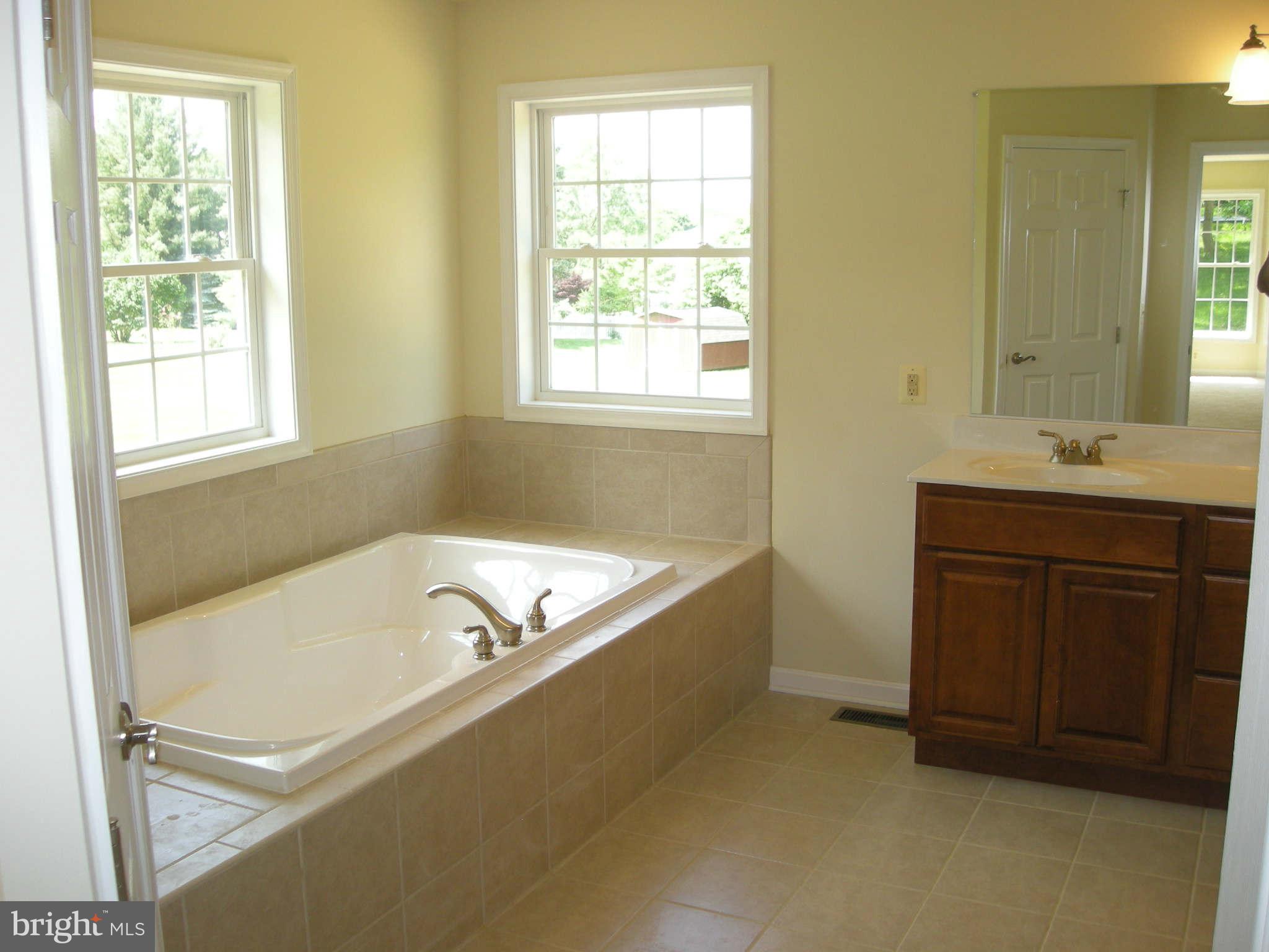 13319 Fork Road Baldwin, MD 21013 - Photo 5 of 29 Master Bath Tub
